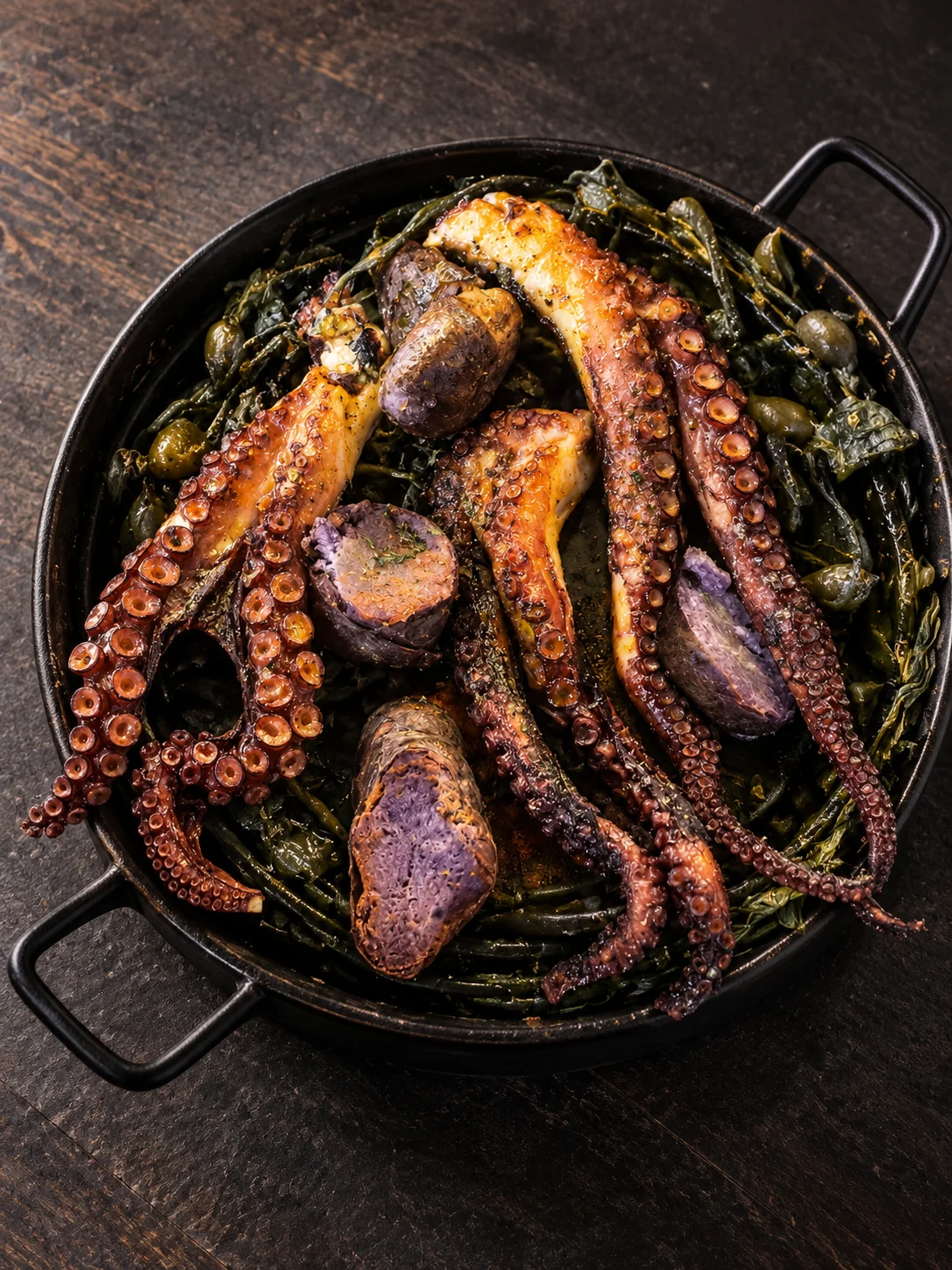 Magellanic octopus